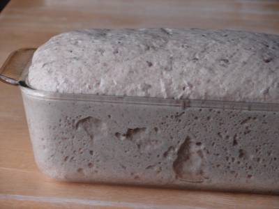 risen dough in loaf pan