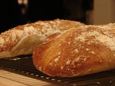 Basic Sourdough Loaves
