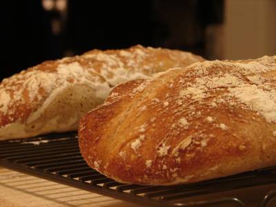 sourdough breads