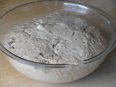 wheat sourdough dough