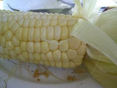 corn on the cob corn on the cob