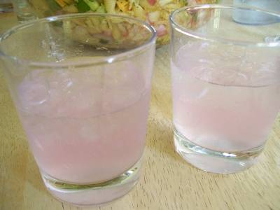 pink lemonade & gin