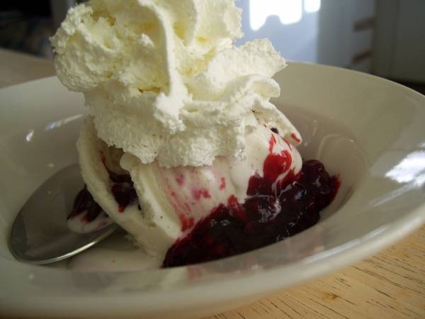 vanilla ice cream in blackberry sauce & whipped cream