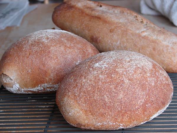 bread bread