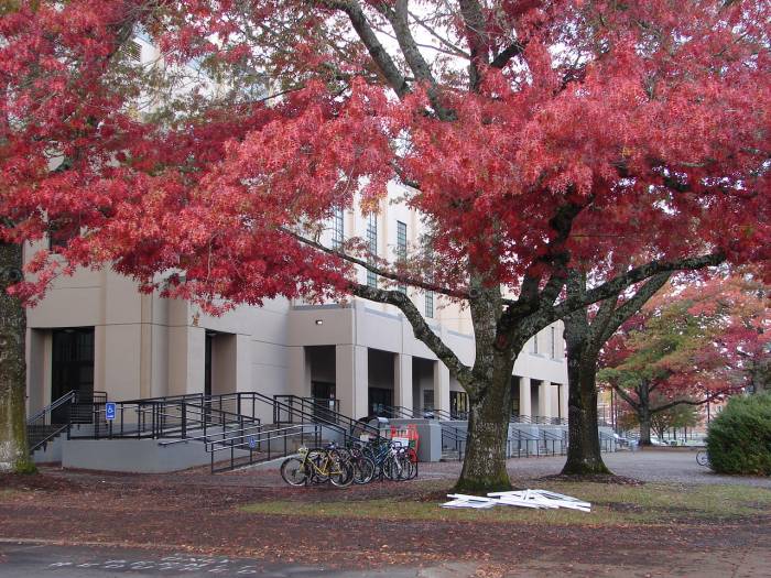 OSU in Fall Colors November 2014 2014 Rosie's Picture of the Day