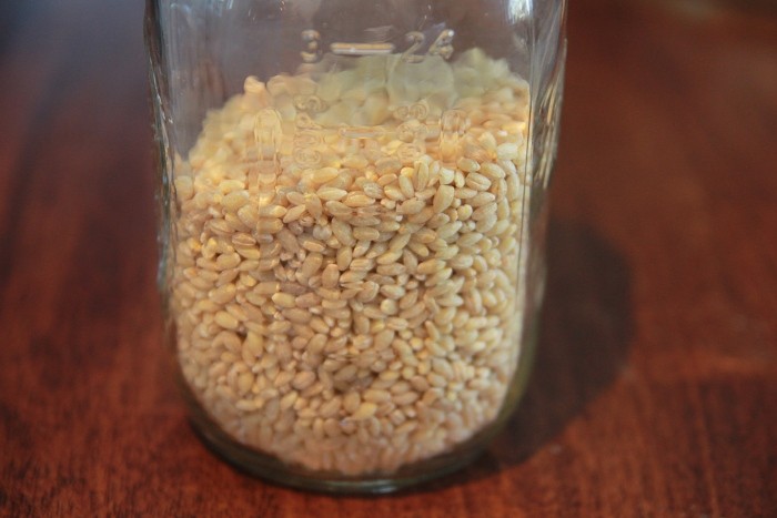 barley barley