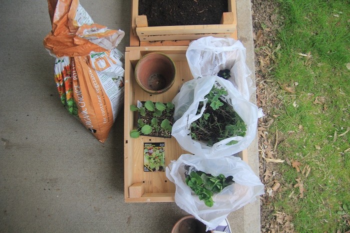 planting seeds planting seeds