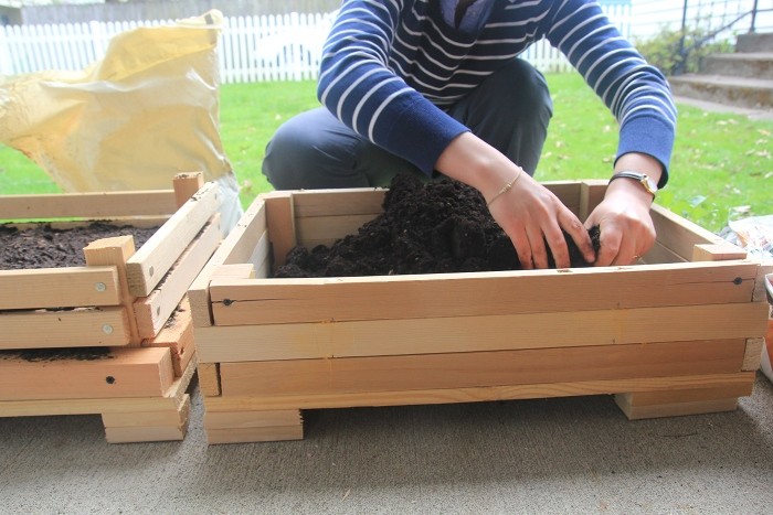 planting seeds planting seeds