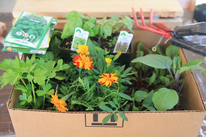 elevated raised gardening bed elevated raised gardening bed