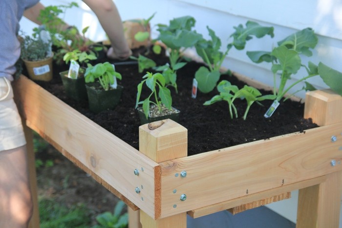 elevated raised gardening bed elevated raised gardening bed