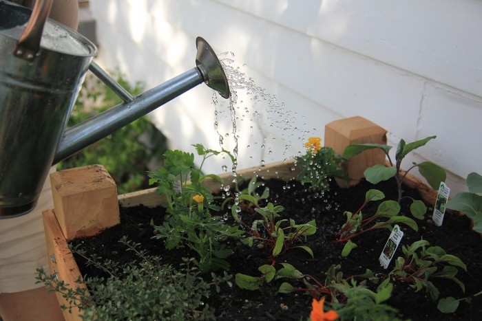 elevated raised gardening bed elevated raised gardening bed