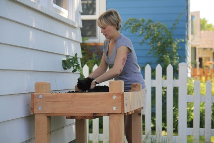 elevated raised gardening bed elevated raised gardening bed