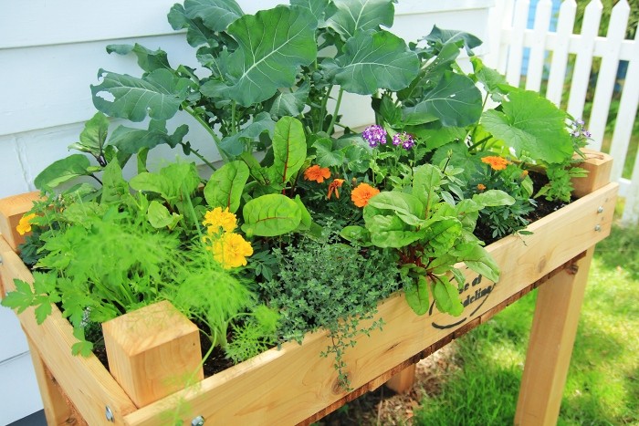 gardening progress gardening progress