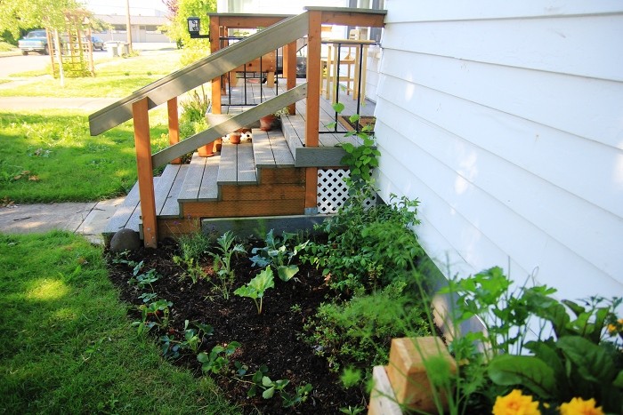 gardening progress gardening progress