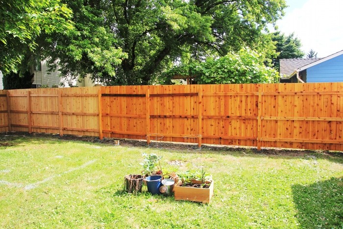 staining cedar fence staining cedar fence