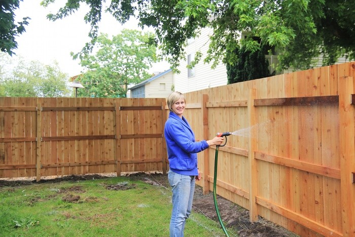 staining cedar fence staining cedar fence