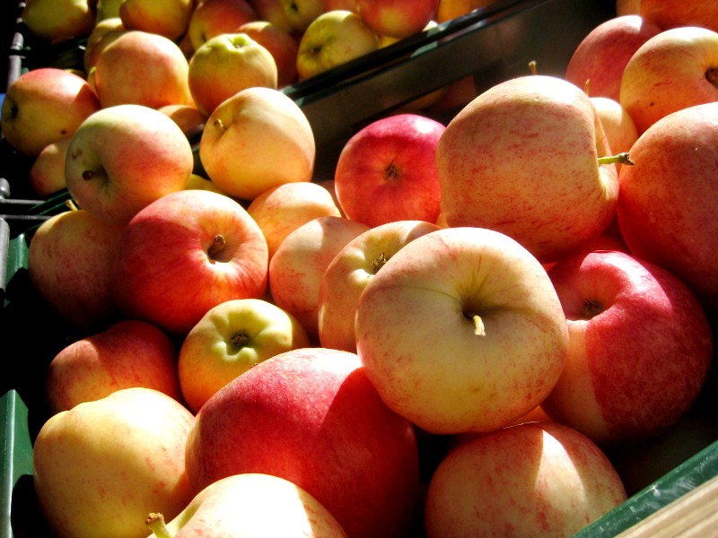apples at farmers market