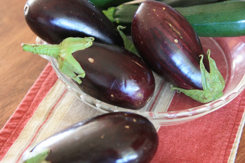 garden fresh eggplant