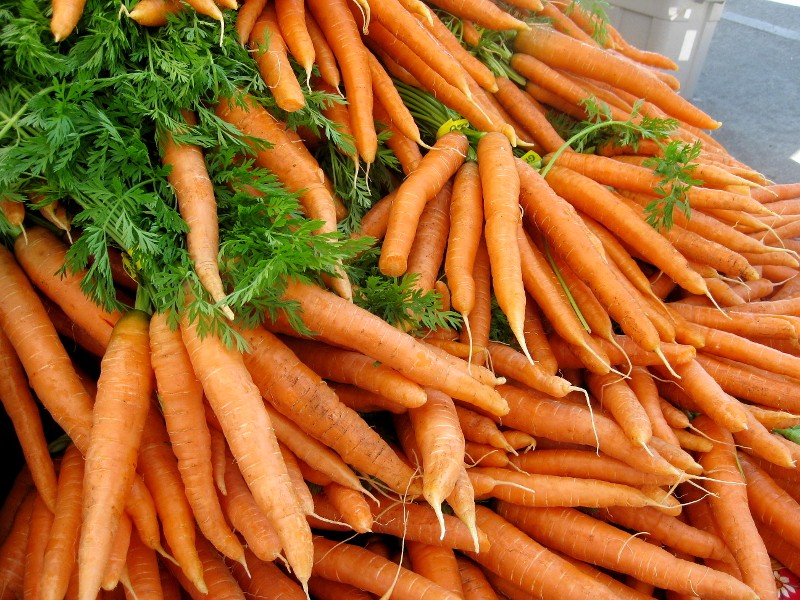 carrots at farmer's market