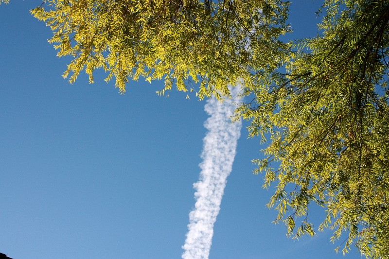 contrail in corvallis