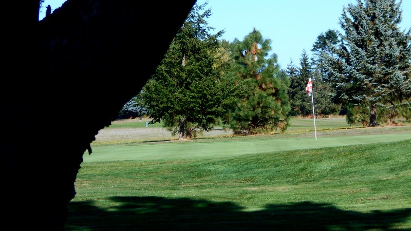 mary's golf course