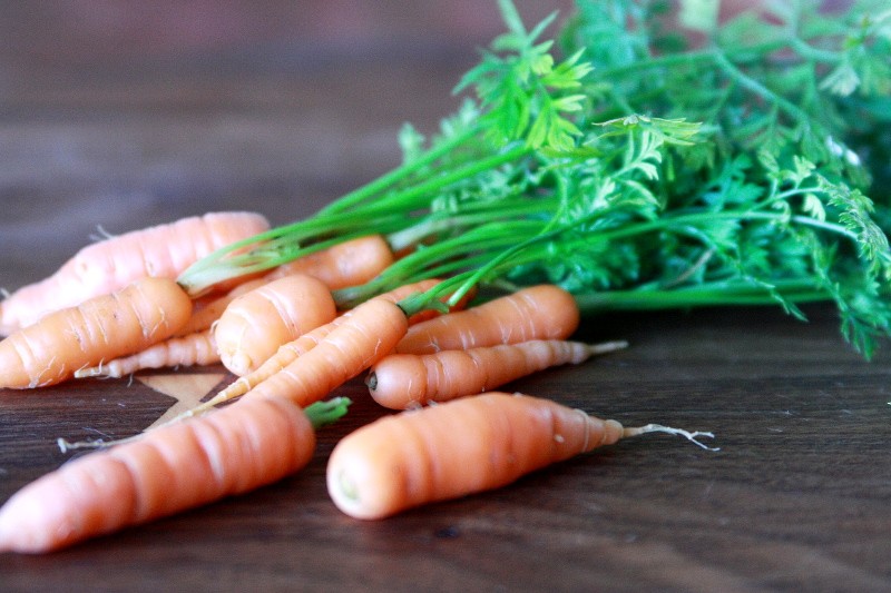 garden fresh carrots