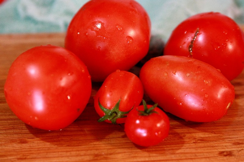 joey's tomatoes