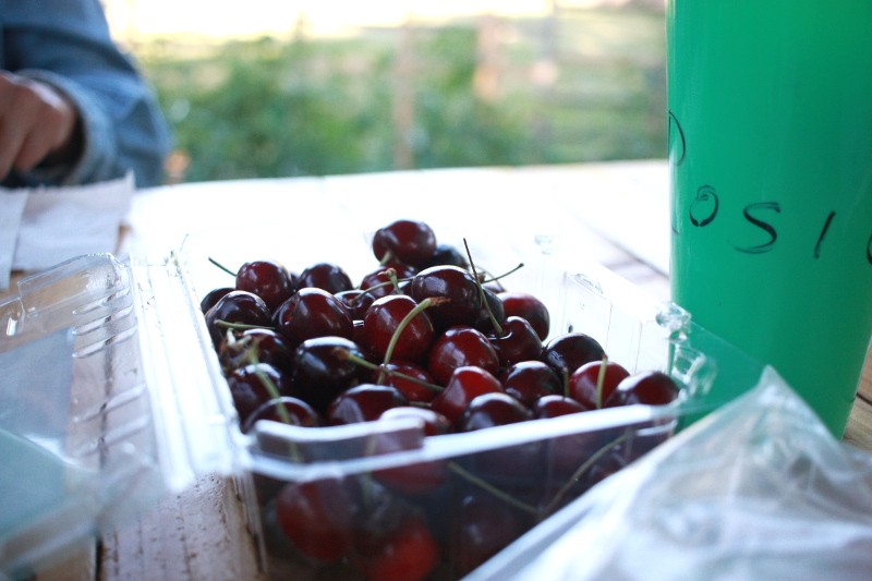 cherries cherries